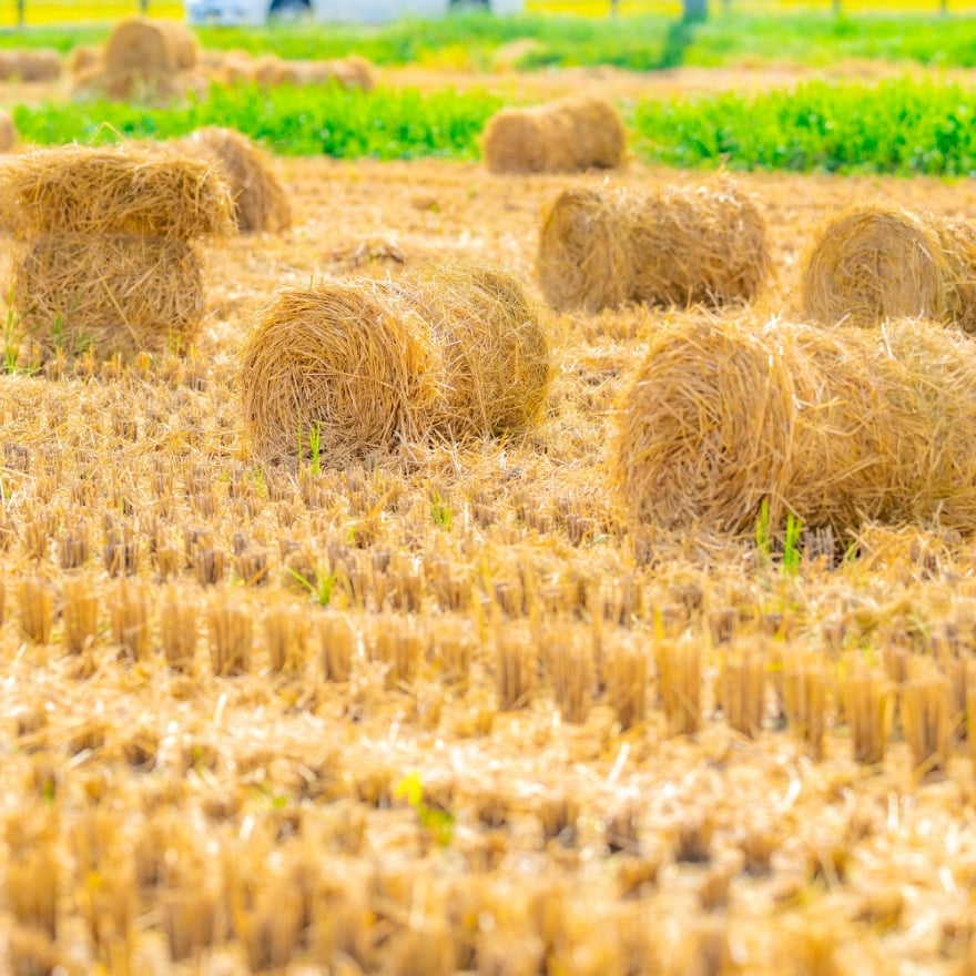 活用実績数・農業用敷き藁の作業